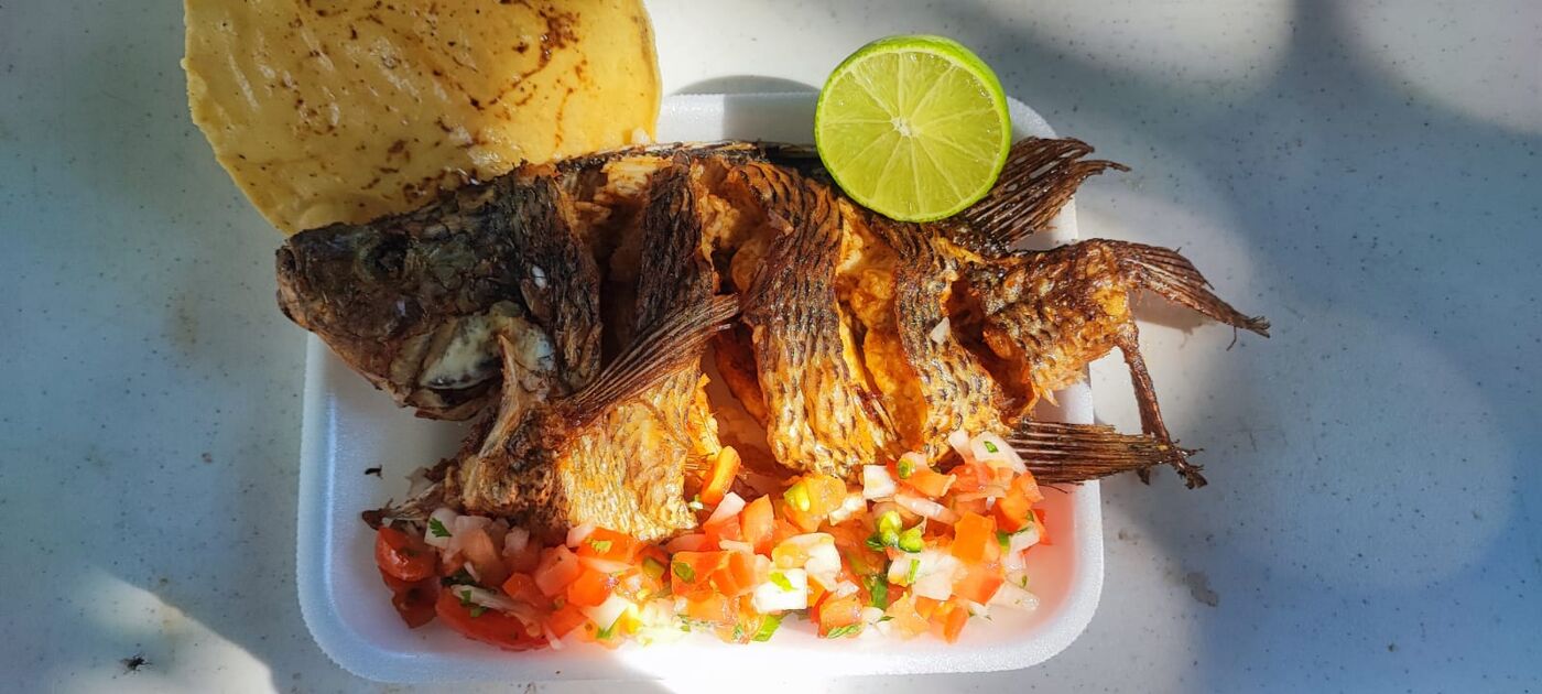 Cosecha de mojarra fresca