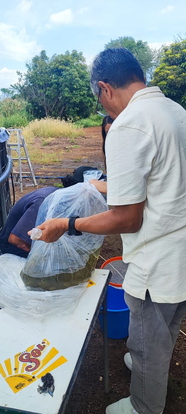 Equipo de trabajo en la granja acuícola